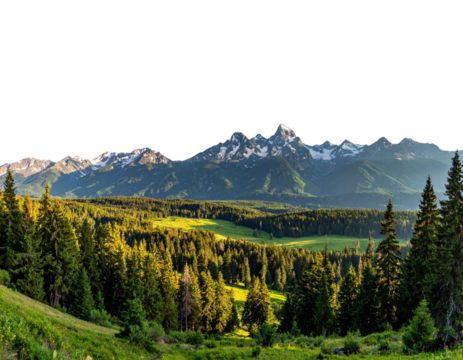 Majestic Mountain Range with Green Valley in Summer, Wide Scenic View, isolated on transparent background