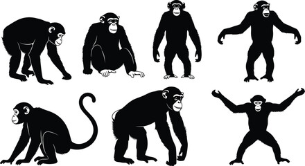 Primate silhouettes vector set, black monkey and ape poses, animal anatomy clipart, isolated wildlife graphics, educational biology icons © Mim's World