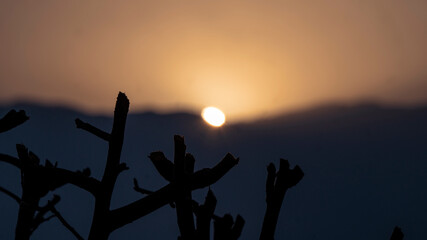 sunset in a spring aternoon near the mountians and a dry brunch in the foreground