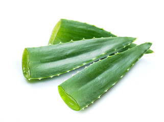 aloe vera  fresh leaves  laying on white background. a mockup for design
