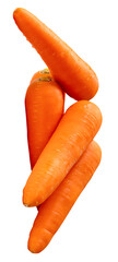 Side view of five fresh orange carrot roots in stack isolated on white background with clipping path