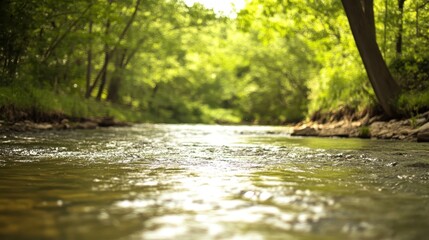 River flowing through lush green forest with soft lighting