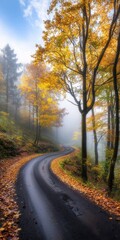 Obraz premium Serene Curved Road Through Autumn Forest with Fog and Yellow Leaves