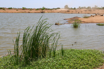 Landscape of river Omo near Omorate in Ethiopia
