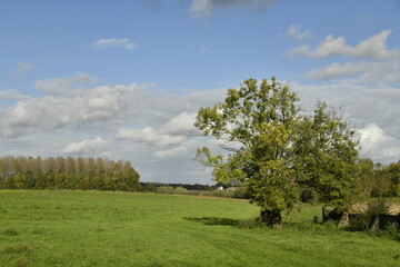 Obraz premium Paysage rural sous le soleil et nuages à Écaussinnes d'Enghien (Soignies)