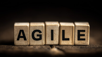 Project Management Methodology Concept with AGILE Word Blocks