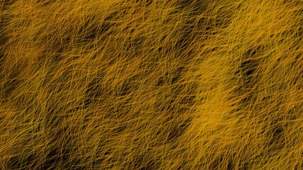 Rich textured background with fine lines like dry grass