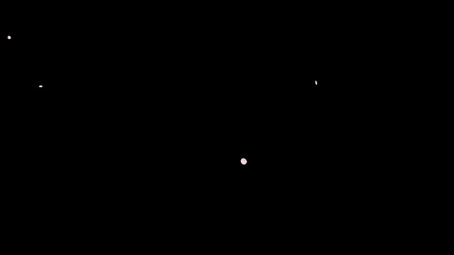 Cute petals,Pink cherry blossoms in full bloom in spring dance in the sky.looping video.[Sakura 4_Size: Small, Speed: Fast, Amount: Normal, No Depth of Field]