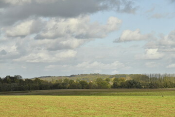 Ciel gris au dessus d'un paysage rural en automne à Écaussinnes-d'Enghien (Soignies)