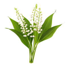 Fototapeta premium Real Pressed Lily of the Valley Flower