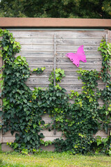 Cancer du sein - Décoration de ville - silhouette de femme rose