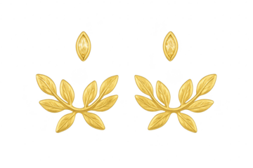 Pair of golden laurel wreath emblems isolated on transparent background