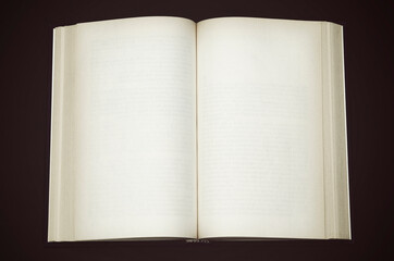 open book with blank pages