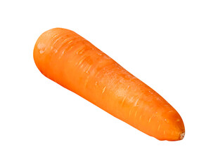Side view of one fresh orange carrot root isolated with clipping path in png file format