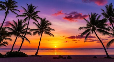 Palm trees silhouetted against a vibrant sunset sky with a calm ocean in the background.