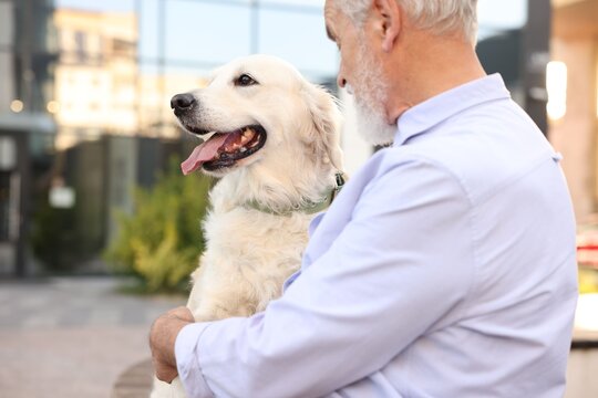 Elderly man with adorable Golden Retriever dog outdoors, closeup. Space for text