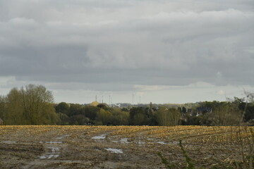 Ciel gris au dessus d'un terrain labour&eacute; pr&egrave;s d'un bois &agrave; &Eacute;caussinnes-D'Enghien (Soignies)