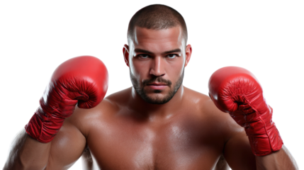 Intense Boxer in Focus: A determined boxer stands ready, gloved and focused, embodying the spirit of strength, discipline, and the thrill of competition.