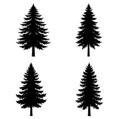 Obraz premium Four evergreen tree silhouettes displayed on a white background in a symmetrical arrangement design element