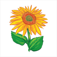 Fototapeta premium Sun Flower Hand Drawing Vector Illustration