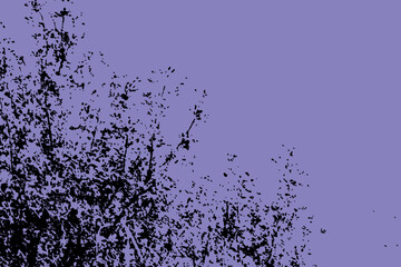 Black silhouette of dead tree branches against a solid, uniform background