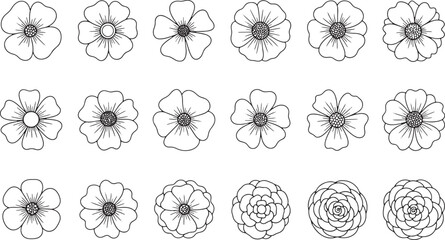 Collection of Simple Outline Flower Illustrations blossom drawing