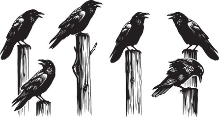 Six Silhouette Ravens Perched on Wooden Posts crow bird