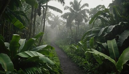 Obraz premium Lush tropical jungle scene with a path leading through dense vegetation and tall palm trees under a misty sky.