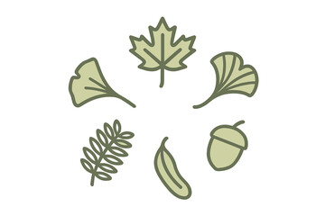 Naklejka premium Stylized collection of various tree leaves, including maple and ginkgo, and an acorn