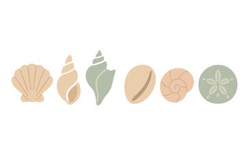 Collection of various seashells and marine mollusks including sand dollar in soft pastel colors