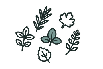 Minimalist outline set of fresh culinary herbs and spices leaves