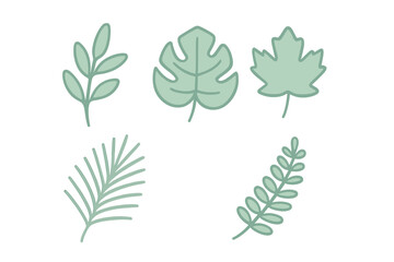 Stylized green foliage elements including tropical monstera and maple leaf shapes