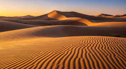Golden Dunes: A stunning, sun-kissed expanse of sand dunes, their undulating curves and patterns sculpted by the wind, creates a mesmerizing desert landscape.