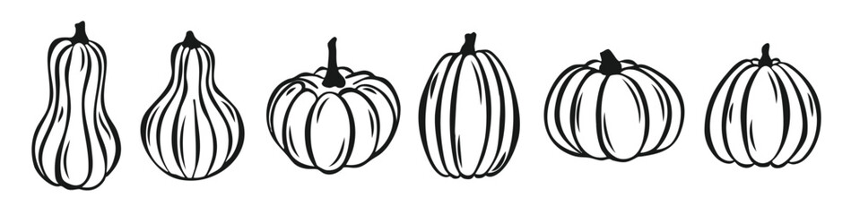 pumpkin hand drawn set for thanksgiving day or halloween