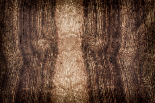 the texture of natural wood. wooden board. the panel is made of natural wood. afara, limba, Terminalia superba, frame, place for text or object, vignetting, horizontal