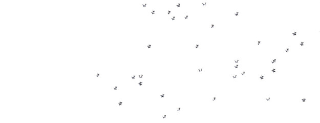 Heavenly Golden Shower: 3D Illustration Brings the Beauty of Stars to Life