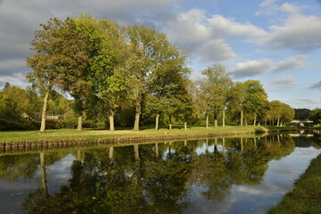 Fototapeta premium Reflet des arbres dans les eaux de l'ancien canal du Centre à Bracquegnies (La Louvière)
