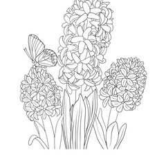 Hyacinth flowers and a butterfly