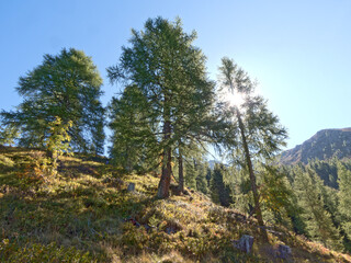 Bergwandern in Südtirol im Herbst