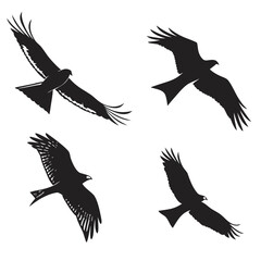 set of silhouettes of kite birds