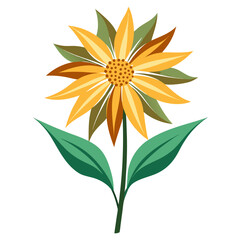 ligularia dentata flower on vector isolated