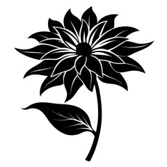 silhouette of a ligularia dentata on white