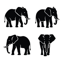 Four silhouetted elephants in dynamic poses various angles realistic wildlife african animal family representation silhouette