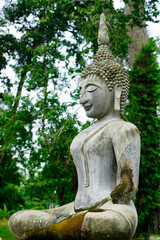 Serene Buddha Statue Surrounded by Lush Greenery in Nature