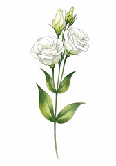Obraz premium Elegant White Lisianthus Watercolor Painting with Delicate Green Leaves