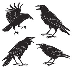collection of crow birds