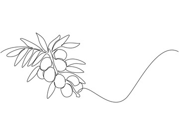 Continuous one line drawing olives attached to branches with lots of leaves. Ready to be harvested for the benefit of many people. National Olive Day. Single line draw design vector illustration