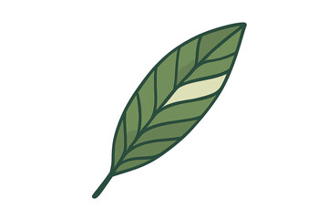 Stylized single green leaf with prominent veins and light color patch isolated on white