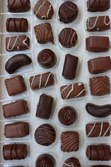 Close-up of inside of a white chocolate box with many assorted chocolate pralines