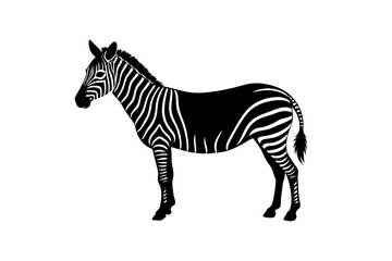 Standing zebra in black and white on transparent background silhouette